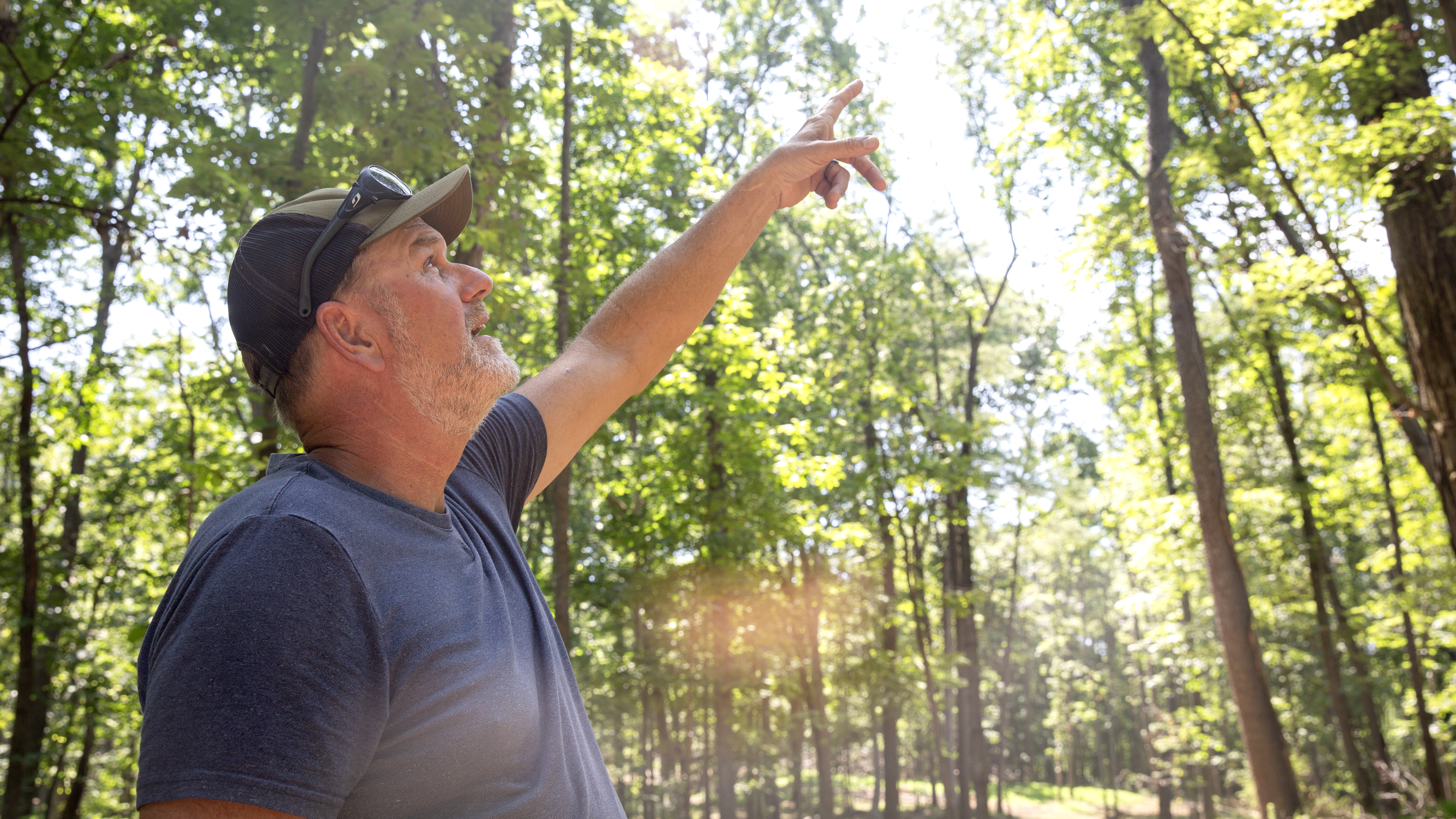 The program will also be available for streaming online.